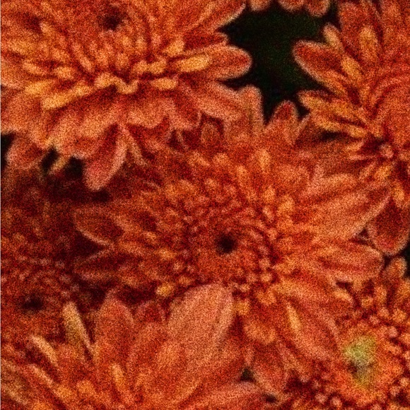 Tarot Card Enamel Pin - The Beer - Picture 4 of 5